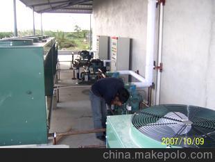 【設(shè)計(jì)新穎】冷庫(kù)安裝 制冷設(shè)備安裝【科學(xué)保證 值得信賴(lài)】圖片,【設(shè)計(jì)新穎】冷庫(kù)安裝 制冷設(shè)備安裝【科學(xué)保證 值得信賴(lài)】圖片大全,鹽城紅雨制冷設(shè)備工程-